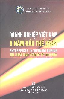 Bia DN VN 9 nam dau the ky 21